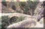 pollino13small.JPG (1592 byte)