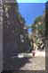 pollino16small.JPG (1324 byte)