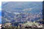 pollino17small.JPG (5035 byte)