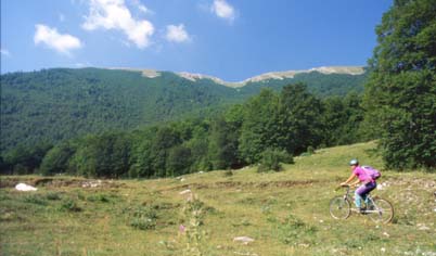 leggi l'intero articolo dell'itinerario