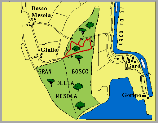 cartamesola.gif (11308 byte)