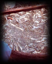 delta16.JPG (17565 byte)