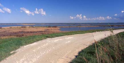 leggi l'articolo sul Delta del Po