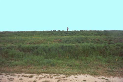 delta21.JPG (19443 byte)