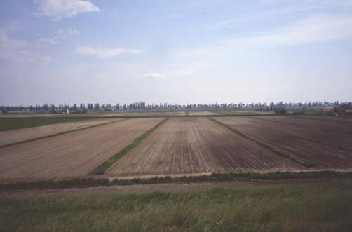 delta22.JPG (15418 byte)