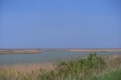 delta26.JPG (14637 byte)