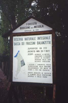 delta32.JPG (18526 byte)