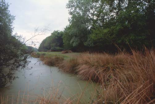 delta36.JPG (28934 byte)