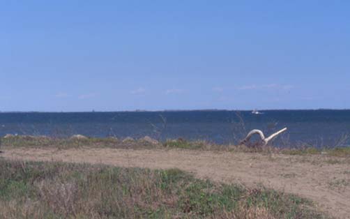 delta38.JPG (14872 byte)