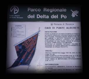 delta46.JPG (15840 byte)