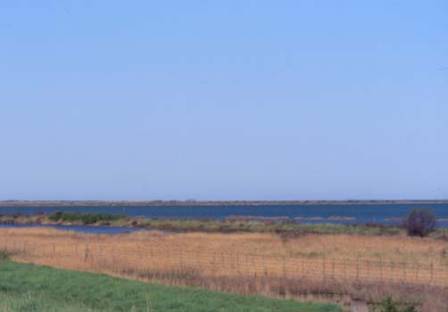 delta47.JPG (10848 byte)