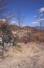 gessi15media.JPG (11371 byte)