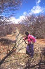 gessi16media.JPG (15179 byte)