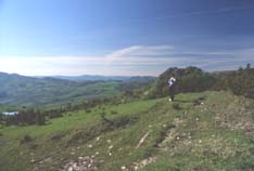 gessi17media.JPG (8639 byte)