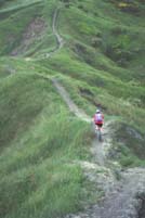 gessi20media.JPG (8541 byte)