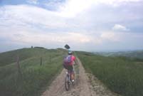 gessi21media.JPG (5843 byte)