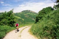 gessi24media.JPG (11736 byte)