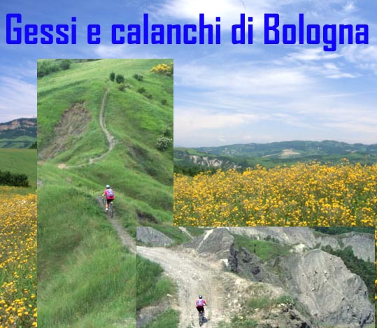 leggi l'intero articolo