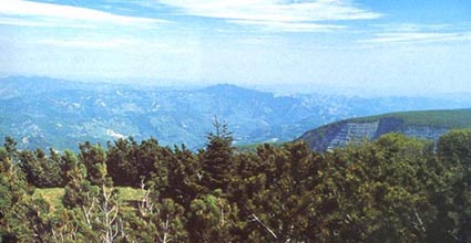 leggi l'intero articolo