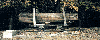 forestecasentino6.GIF (25858 byte)