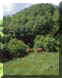 forestefoto13small.JPG (5087 byte)