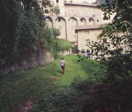 forestefoto24.JPG (36731 byte)