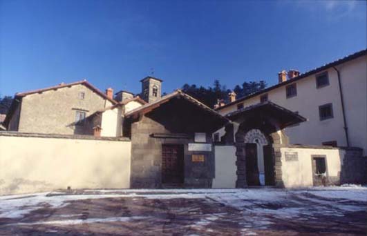 forestefoto26.JPG (24360 byte)