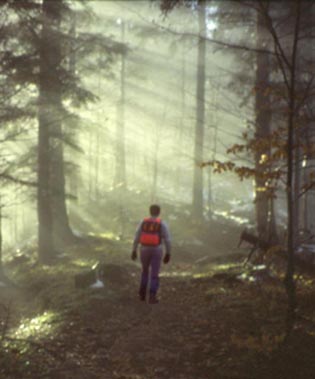 forestefoto3.JPG (22641 byte)