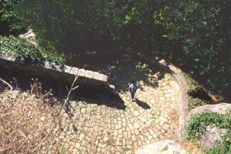 forestefoto30.JPG (38747 byte)