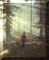 forestefoto3small.JPG (5095 byte)