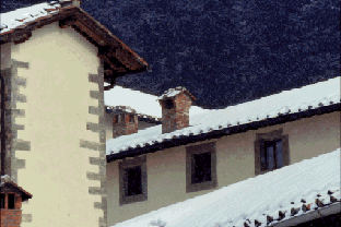 forestefoto6.GIF (32784 byte)