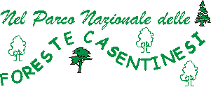 titoloforeste.gif (2478 byte)