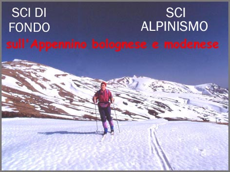 leggi tutto l'articolo