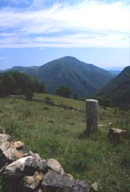 avsp49.JPG (11124 byte)