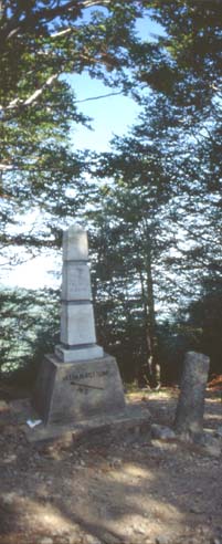 avsp53.JPG (29344 byte)