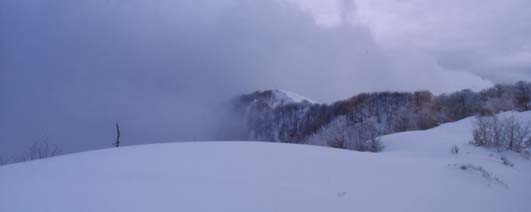 avsp54.JPG (7175 byte)