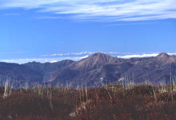 avsp55.JPG (13245 byte)