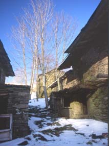 avsp57.JPG (16613 byte)