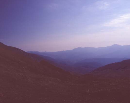 avsp60.JPG (9391 byte)