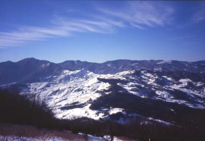 avsp61media.JPG (18119 byte)