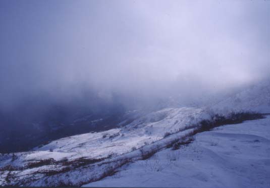 avsp62.JPG (15997 byte)