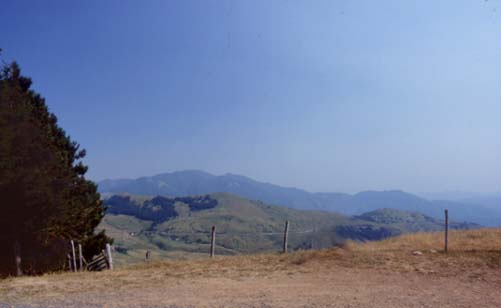 avsp65.JPG (14029 byte)