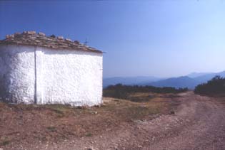 avsp66media.JPG (11573 byte)