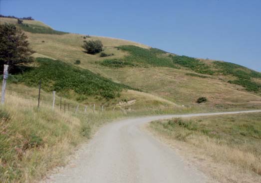 avsp67.JPG (25377 byte)