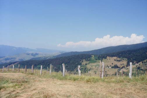 avsp68.JPG (20997 byte)