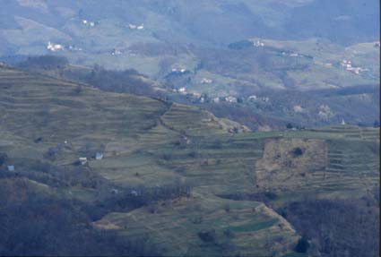 avsp69.JPG (16892 byte)