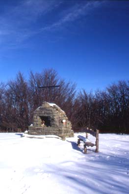 avsp70.JPG (15167 byte)