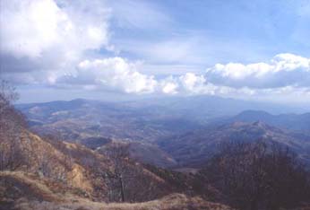 avsp72media.JPG (12033 byte)