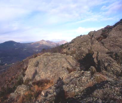 avsp76.JPG (25390 byte)