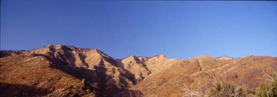 avsp77.JPG (15480 byte)